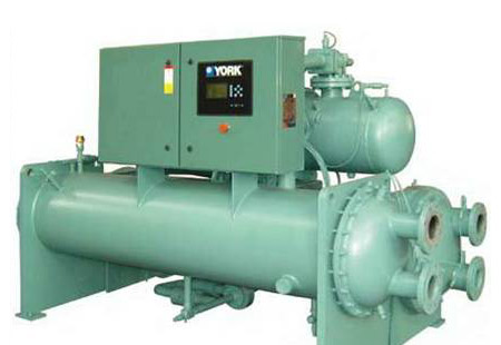 约克.jpg 约克.jpg